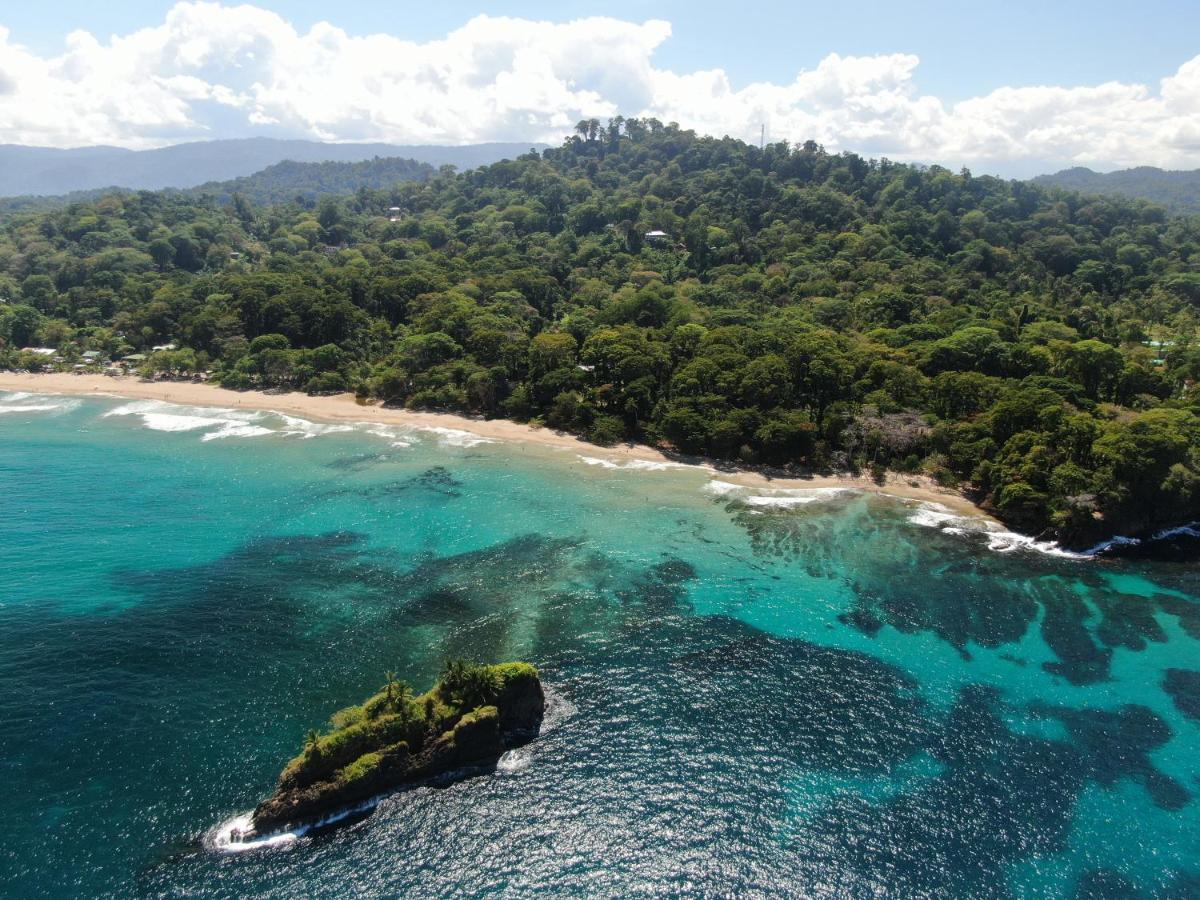 Cariblue Beach And Jungle Resort Puerto Viejo de Talamanca Экстерьер фото