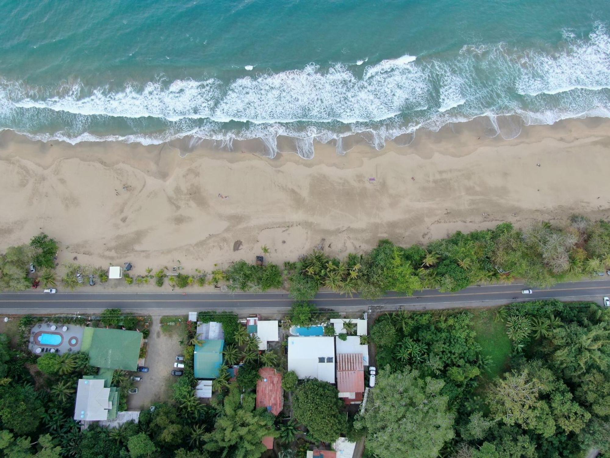Cariblue Beach And Jungle Resort Puerto Viejo de Talamanca Номер фото