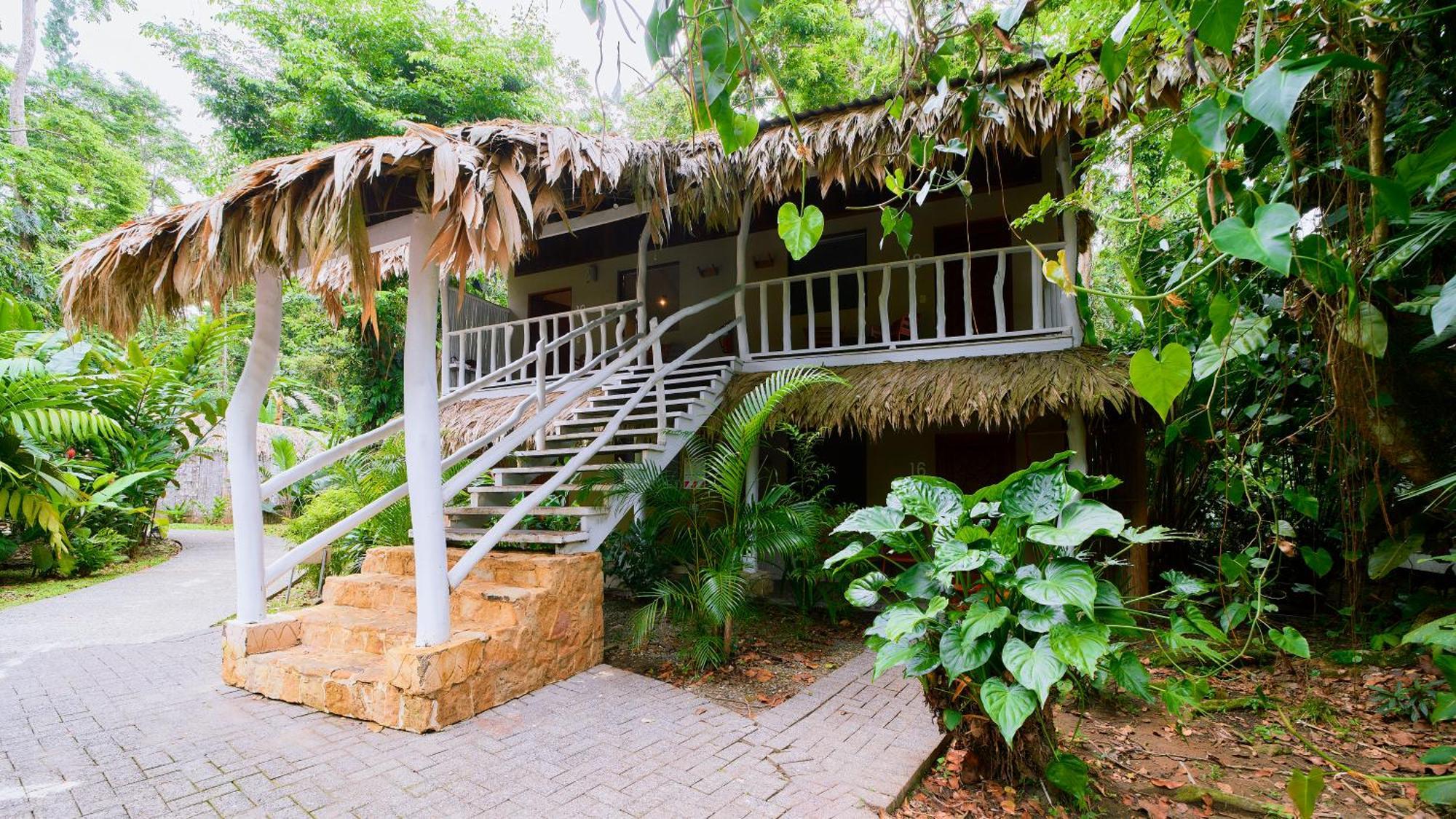 Cariblue Beach And Jungle Resort Puerto Viejo de Talamanca Номер фото