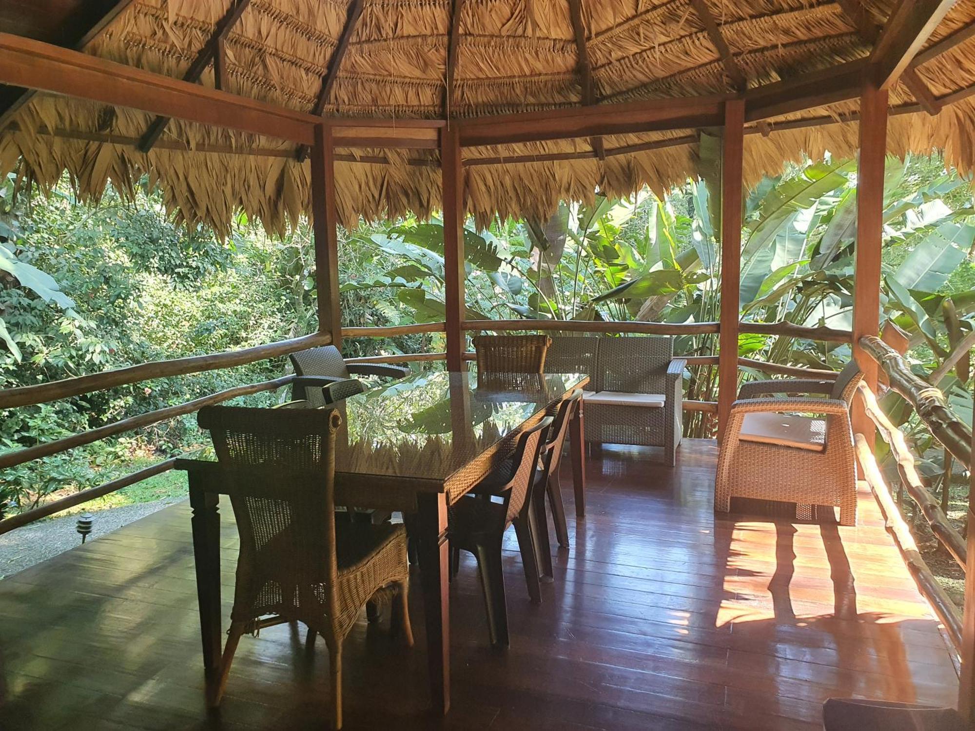 Cariblue Beach And Jungle Resort Puerto Viejo de Talamanca Номер фото